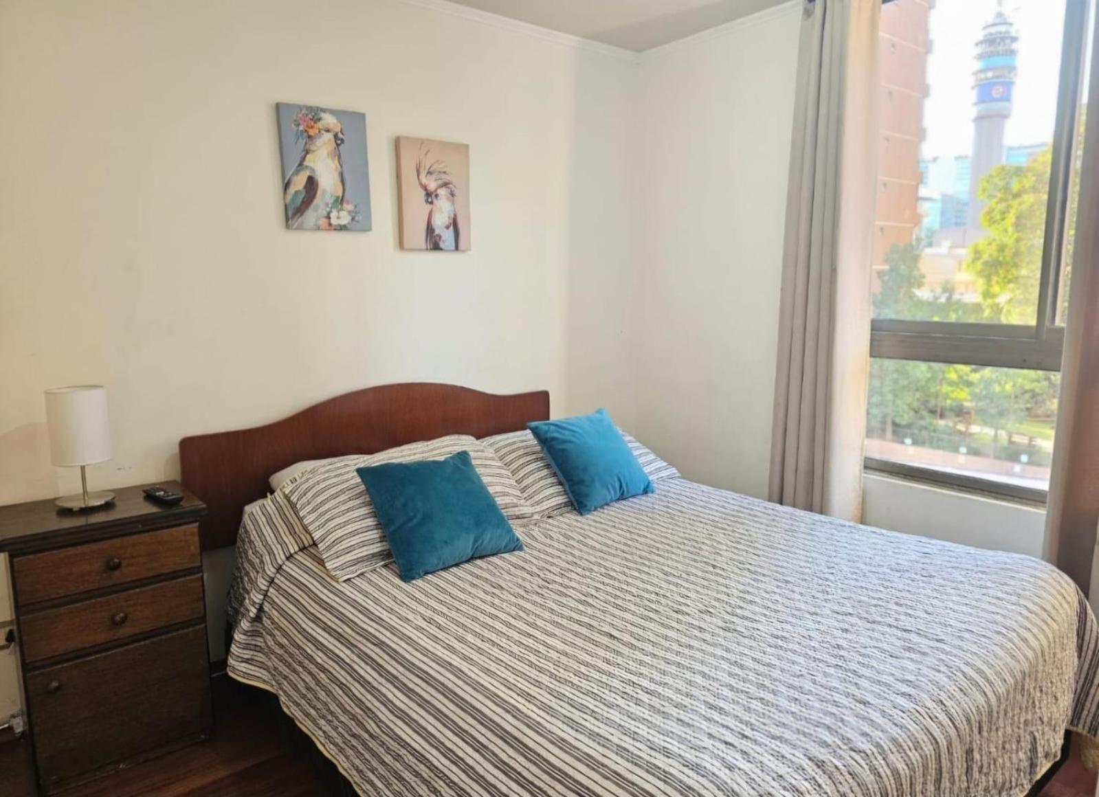 Apart Hotel Suagon Suites Santiago Centro 外观 照片
