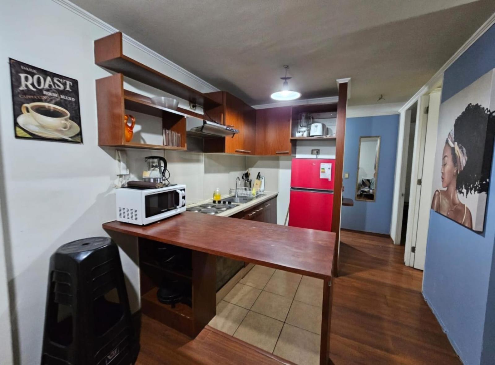 Apart Hotel Suagon Suites Santiago Centro 外观 照片