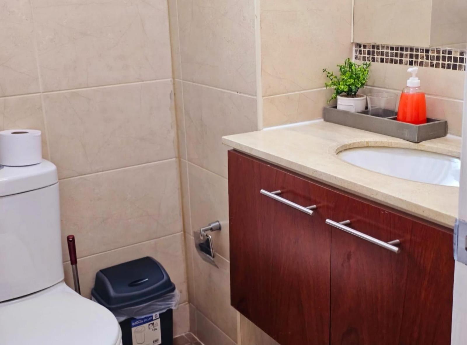 Apart Hotel Suagon Suites Santiago Centro 外观 照片